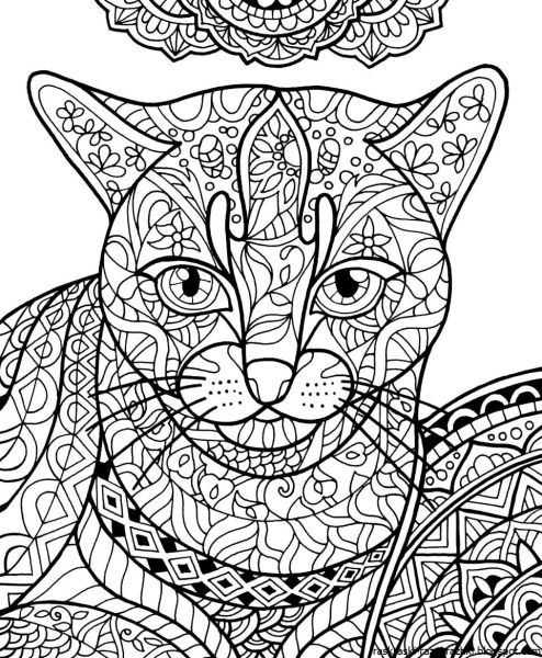 Кототерапия раскраска-антистресс