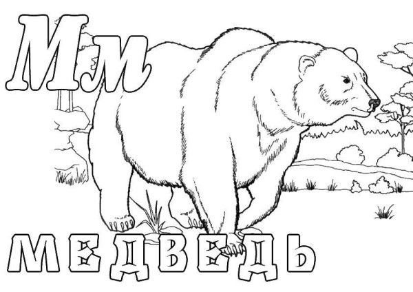 Раскраска медведь в зоопарке