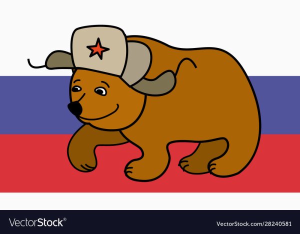 Медведь в шапке ушанке