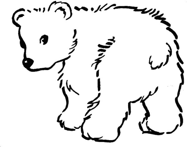 Медведь раскраска
