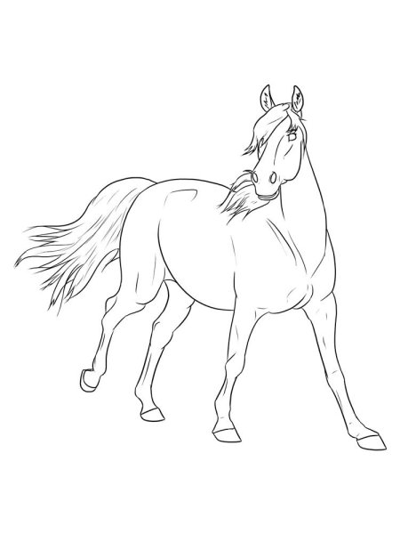 Раскраски для срисовки лошади (48 фото)