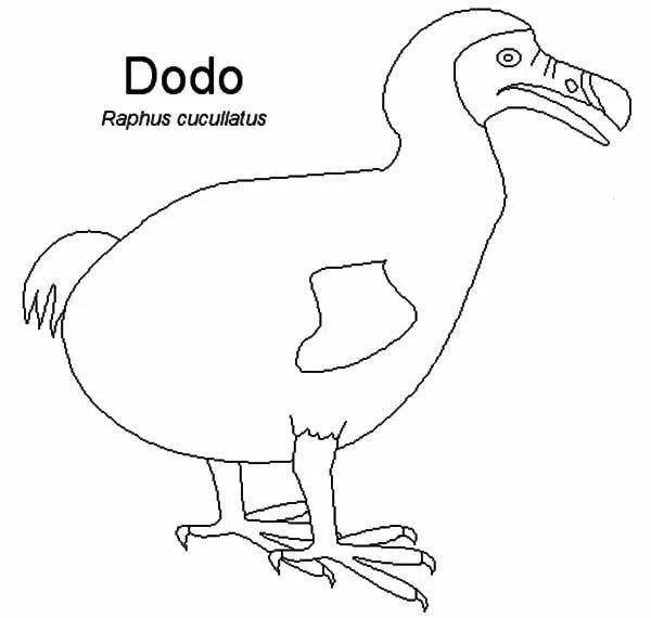 Додо раскраска