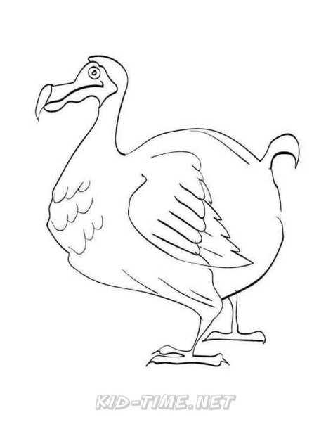 Маврикийский Дронт раскраска