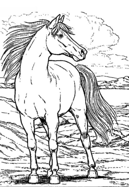 Раскраски долговязая лошадь (50 фото)