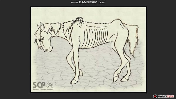 SCP-042 долговязая лошадь