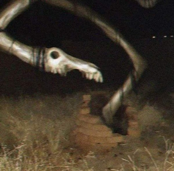 Длинная лошадь SCP игрушки