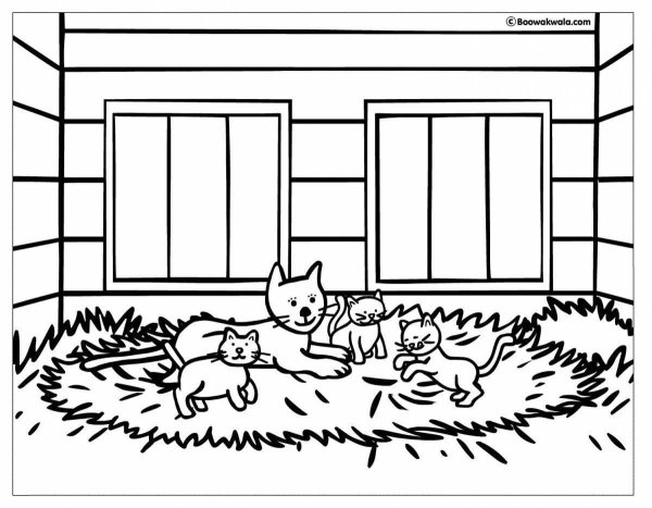 Раскраска котик в домике