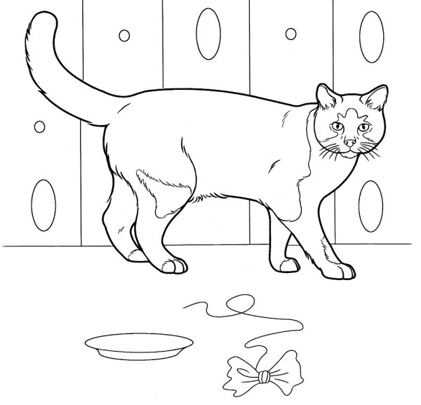 Домашние коты раскраска