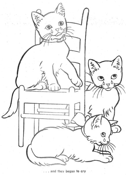 Разукрашка котенок с мамой