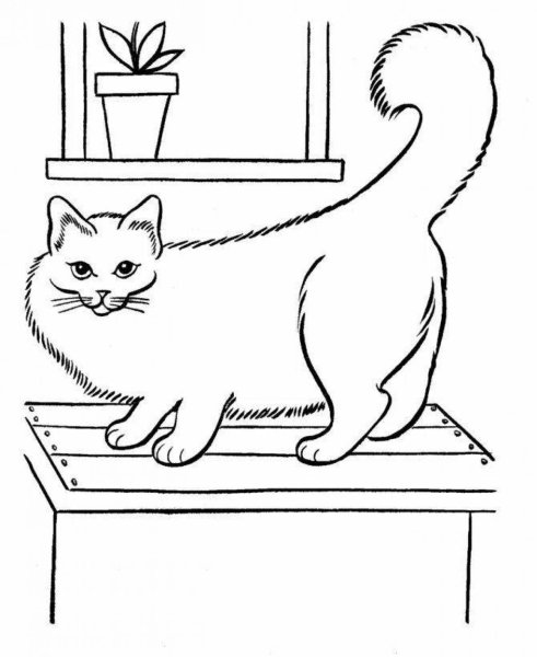Раскраска домик с котятами