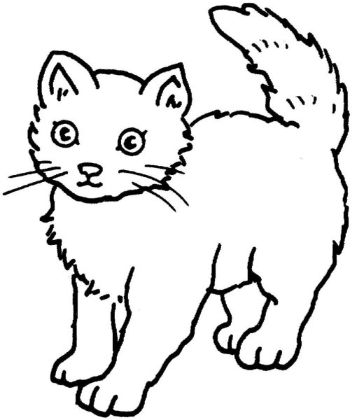 Кошка раскраска для детей