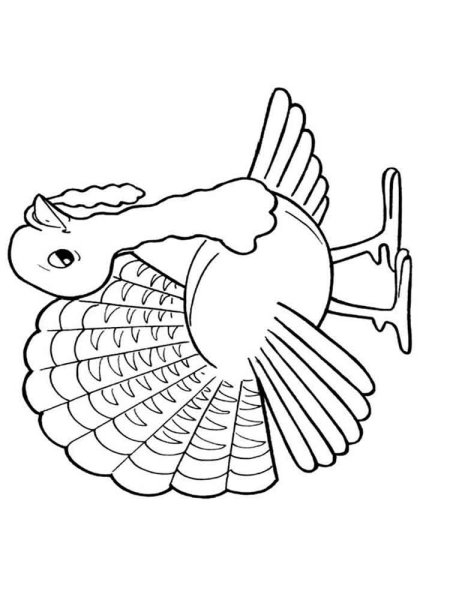 Индюк раскраска