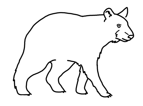Медведь рисунок лайн