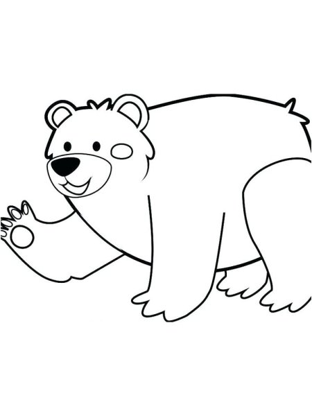 Медведь раскраска