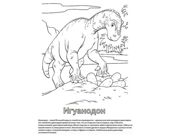 Раскраски динозавры игуанодо
