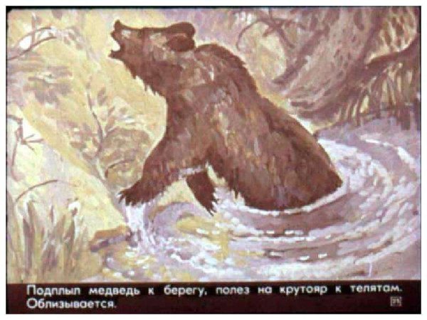 Иллюстрация к произведению Паустовского дремучий медведь