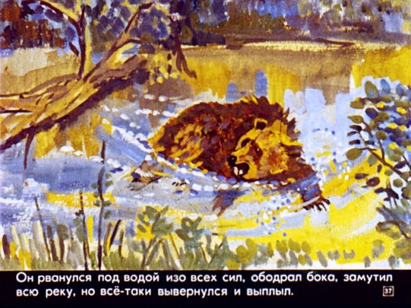 Раскраски дремучий медведь сказка (50 фото)