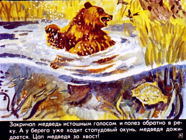 Паустовский дремучий медведь