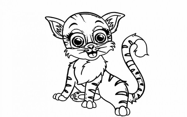 Раскраска. Котики