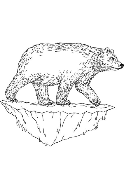 Лиса и медведь раскраска