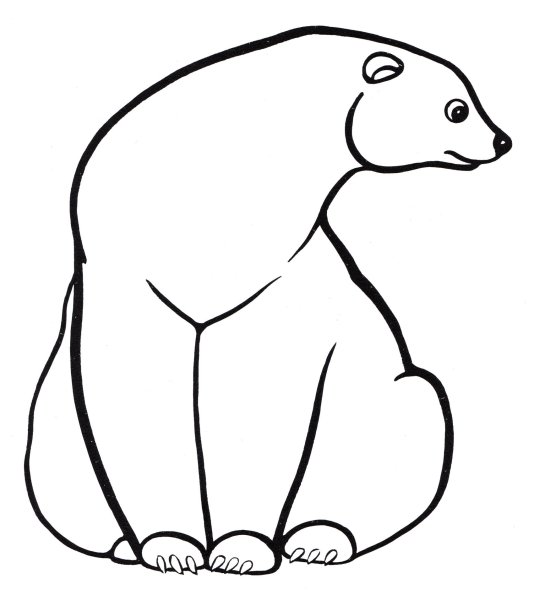 Раскраски Белые медведи