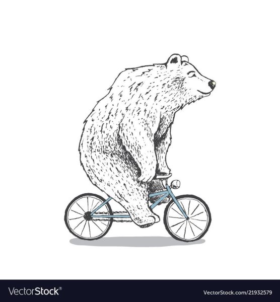 Медведь на велосипеде
