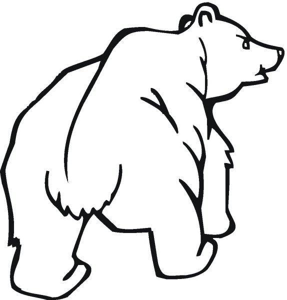 Раскраски медведь на горе (44 фото)