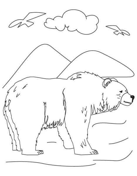 Бурый медведь разукрашка