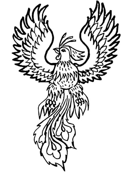 Жар птица раскраска