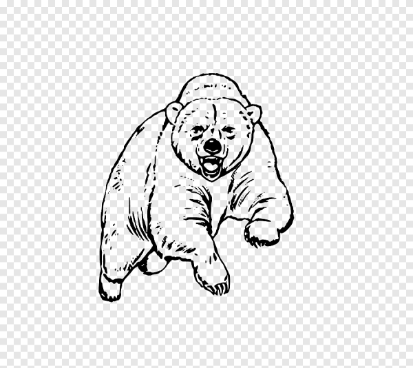 Медведь раскраска