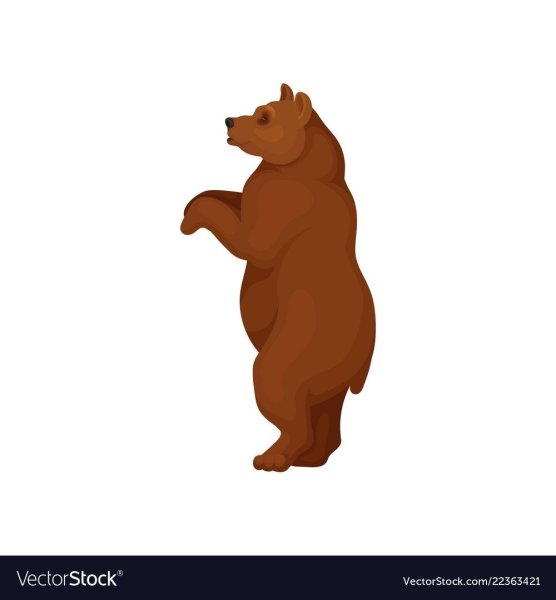 Медведь на задних лапах