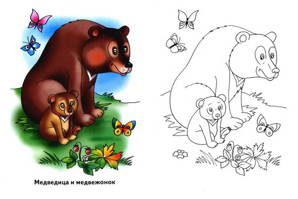Раскраска Медведица с медвежатами