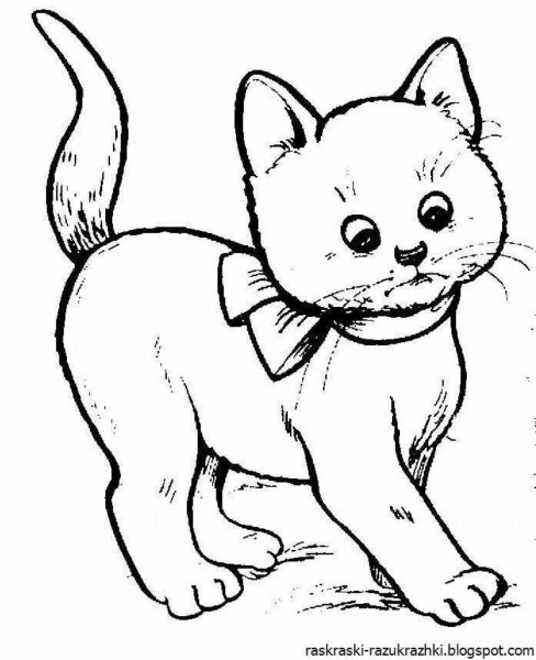 Котенок раскраска для малышей