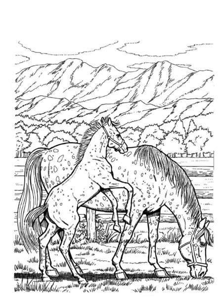 Раскраски животные лошадь (45 фото)