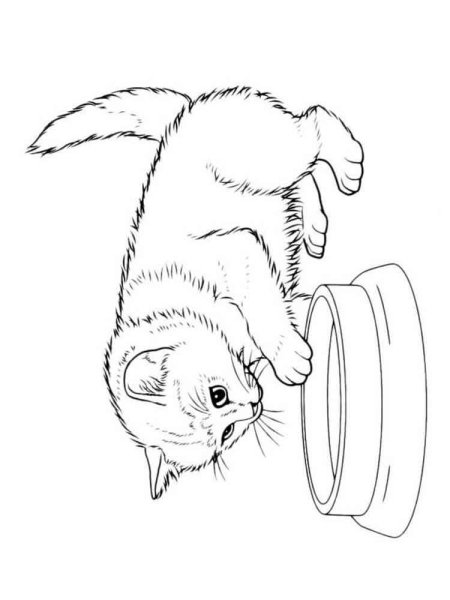 Раскраска 3 котенка