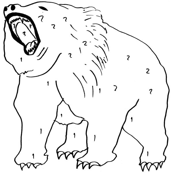 Раскраски медведь русский (49 фото)