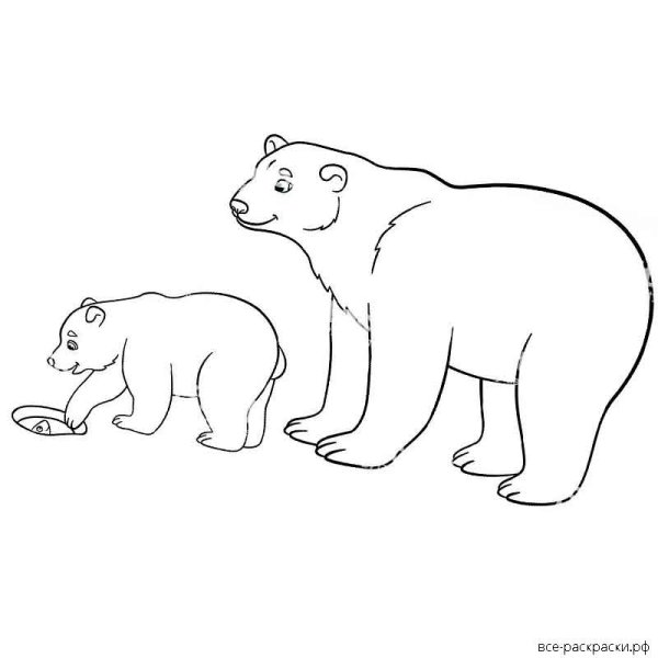 Раскраска белый медведь с медвежонком