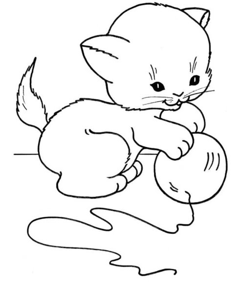 Котенок раскраска для малышей