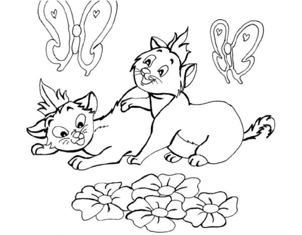 Котенок с бабочкой раскраска