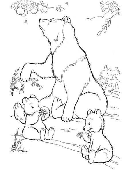 Раскраски медведь с гармошкой (46 фото)