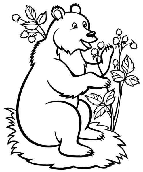 Раскраски медведь с книгой (42 фото)