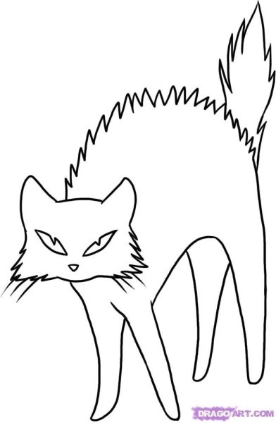 Рисунок кота для срисовки