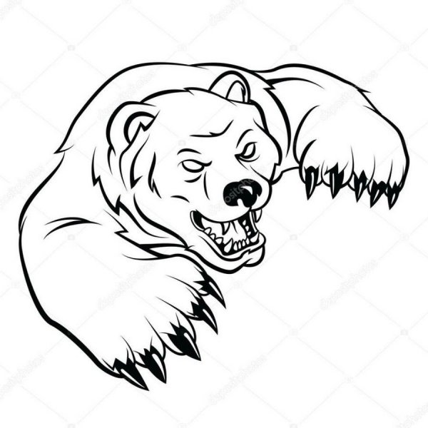 Раскраски злой медведь (44 фото)