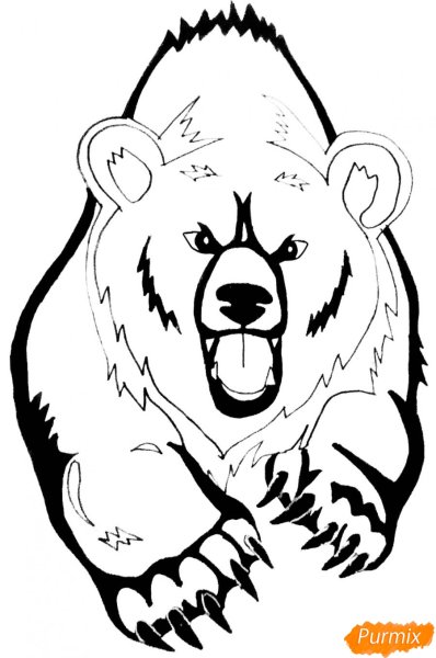 Медведь рисунок карандашом