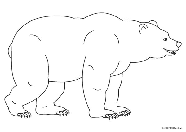 A Bear раскраска с подписью