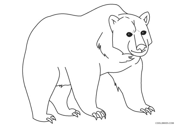 Bear picture for Kids раскраска