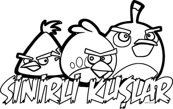 Раскраски Angry Birds Seasons