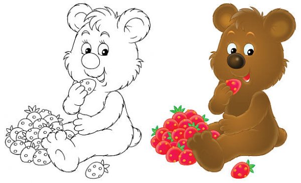 Раскраски медведь с малиной (43 фото)