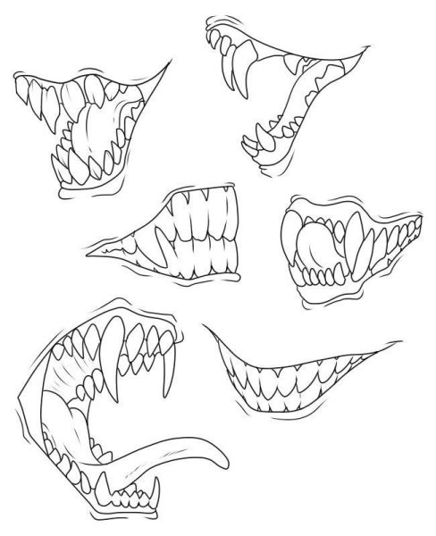 Раскраски зубы динозавра (43 фото)