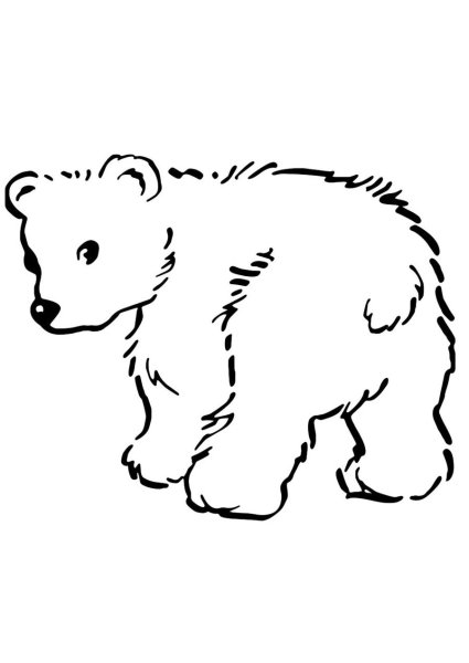 Медведь раскраска
